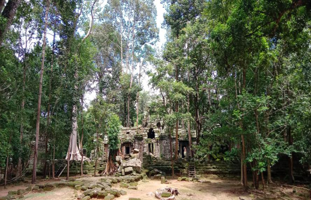 Hidden temple bike tour